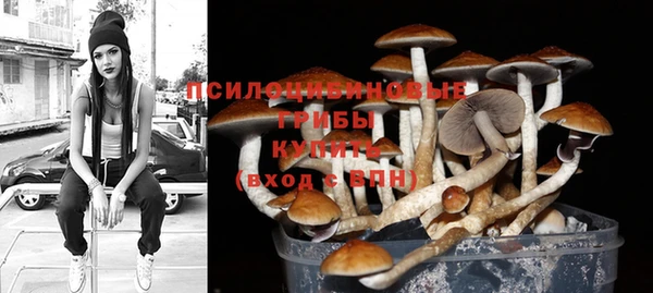 стафф Армянск