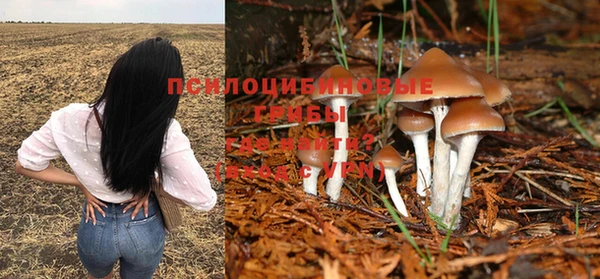MESCALINE Аркадак