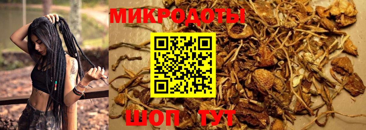 Псилоцибиновые грибы прущие грибы Кинешма