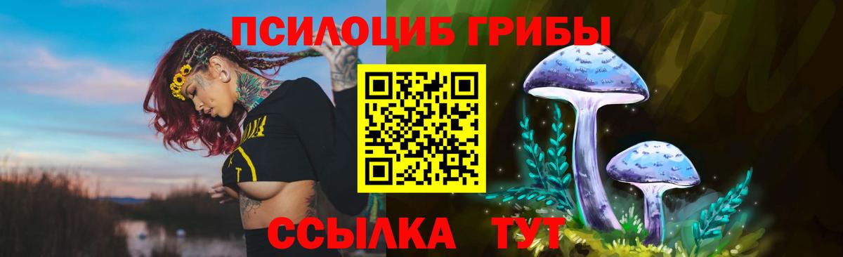 Галлюциногенные грибы прущие грибы  Вход с VPN  Кинешма 